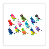 Productos_Secundarios_Digibirds_1